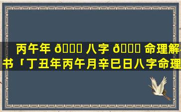 丙午年 🐒 八字 🐝 命理解析书「丁丑年丙午月辛巳日八字命理」